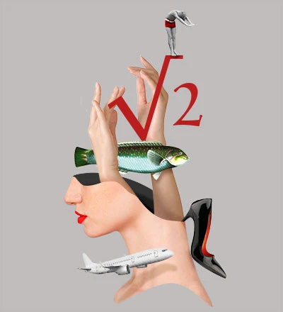 Collage of a woman's face with an airplane, a fish, a high-heeled shoe, and a bathing child