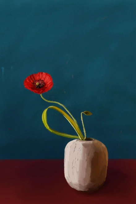 Poppy in a vase