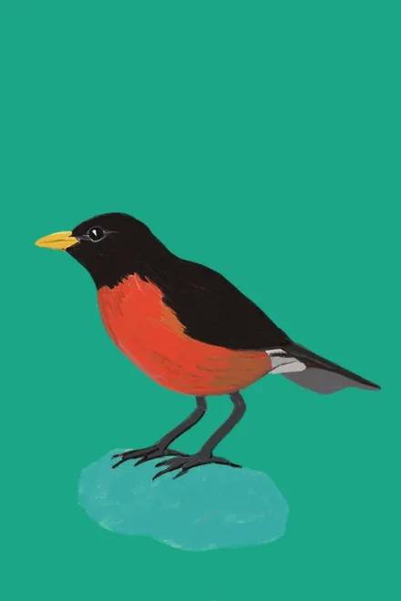 Illustration of a bird