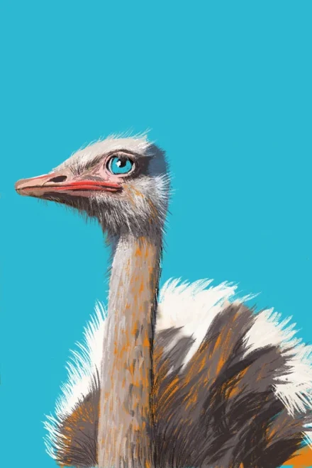 illustration of an ostrich