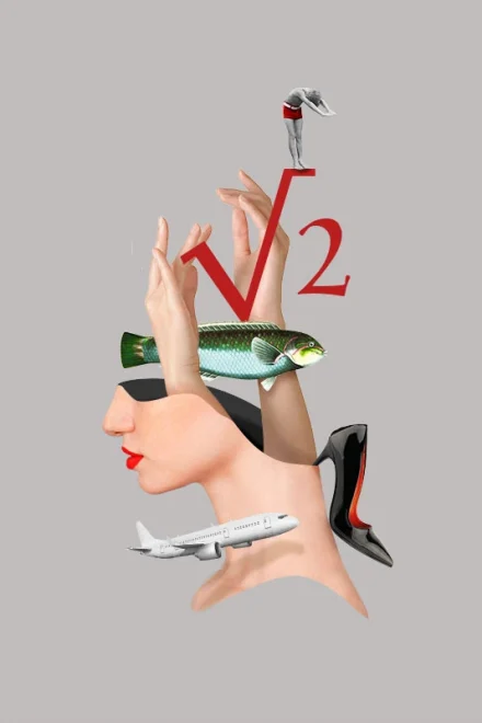 Collage with woman, shoe, plane and fish