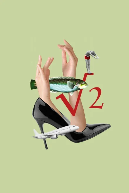 Collage with shoe, plane , hands and fish