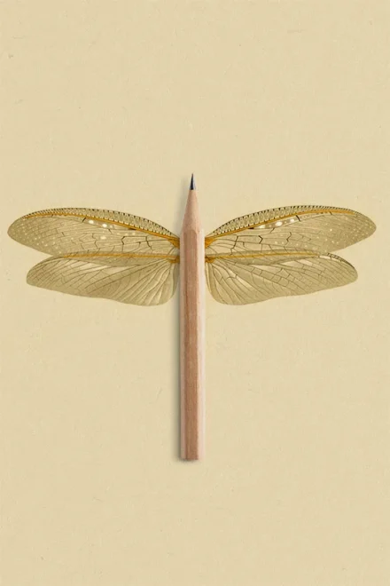 Photomontage Dragonfly with pencil body