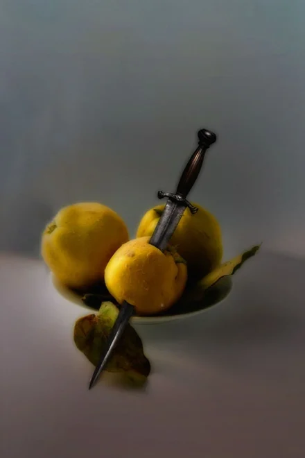 Illustration of a quince with a dagger